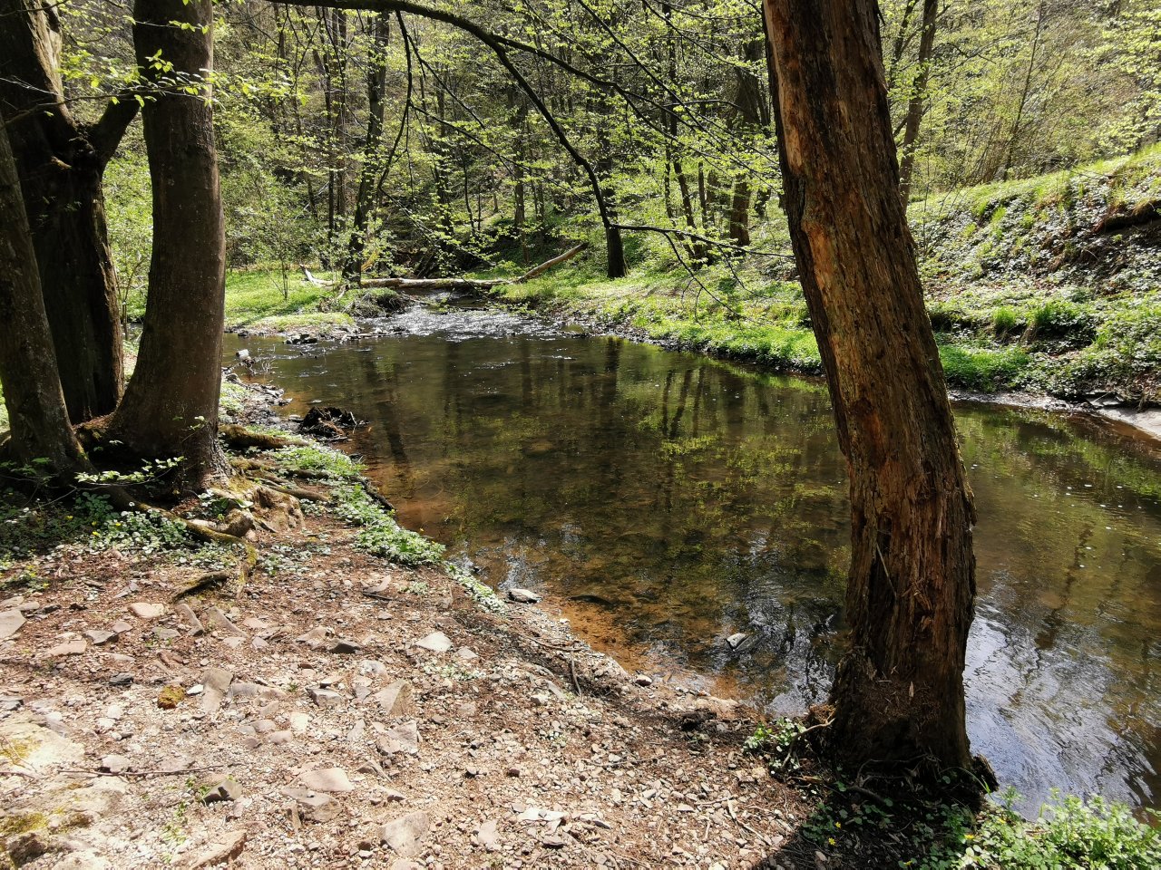 Zbiro�sk� potok u Skryjsk�ch jez�rek