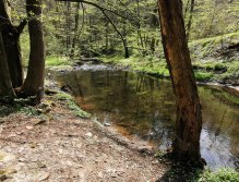 Zbirožský potok u Skryjských jezírek