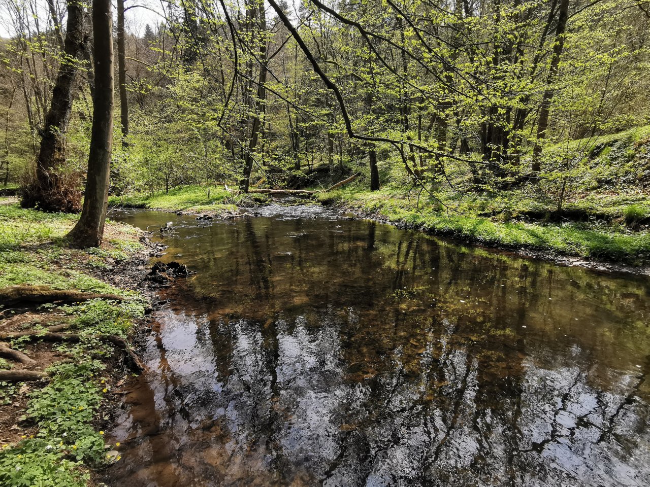 Zbiro�sk� potok u Skryjsk�ch jez�rek