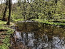 Zbirožský potok u Skryjských jezírek