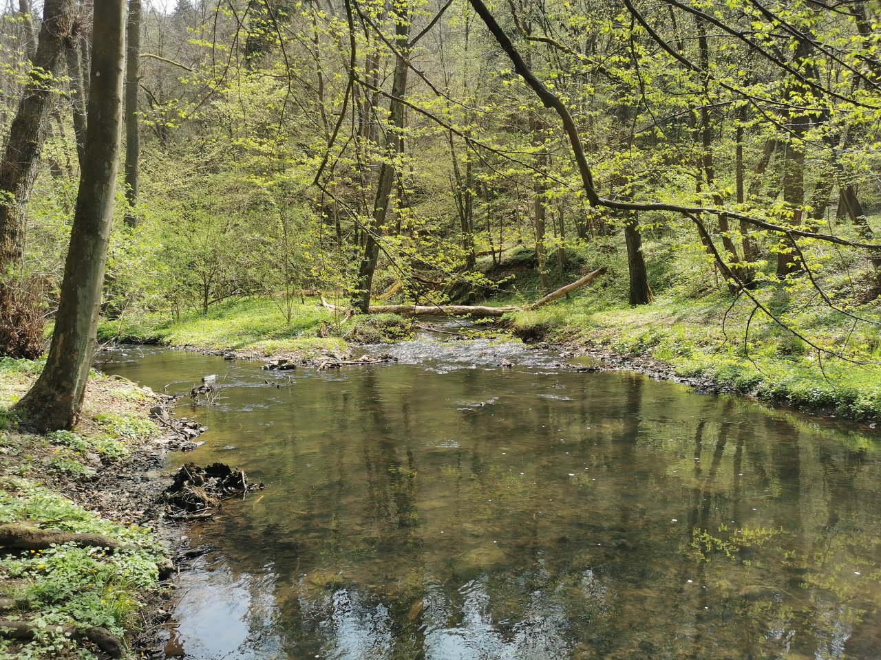 Zbiro�sk� potok u Skryjsk�ch jez�rek