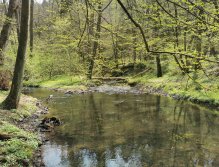 Zbirožský potok u Skryjských jezírek