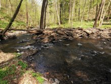 Zbirožský potok u Skryjských jezírek