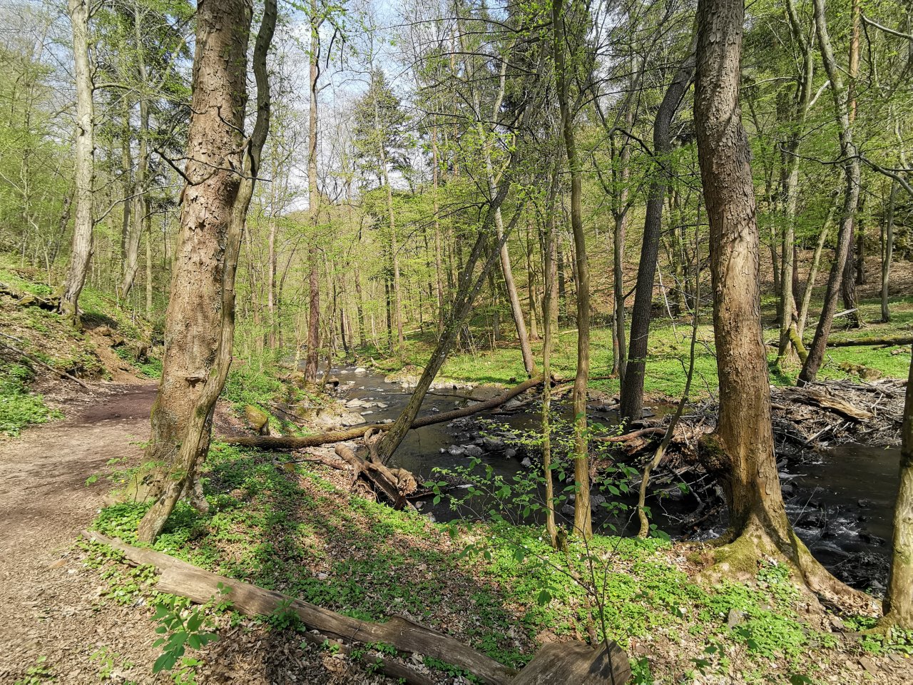 Zbiro�sk� potok u Skryjsk�ch jez�rek