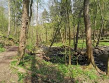 Zbirožský potok u Skryjských jezírek