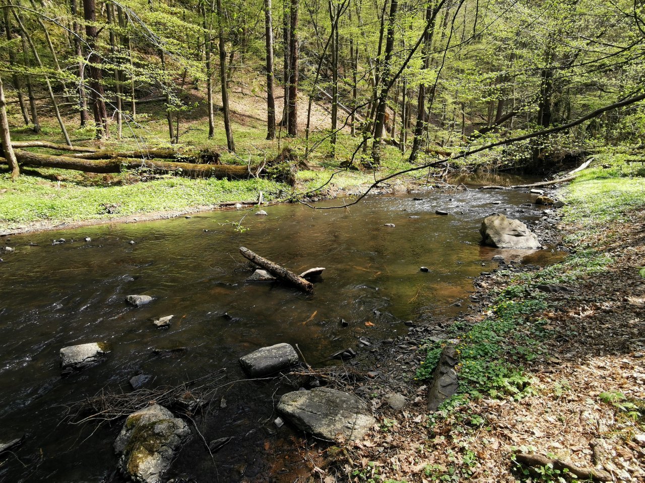 Zbiro�sk� potok u Skryjsk�ch jez�rek