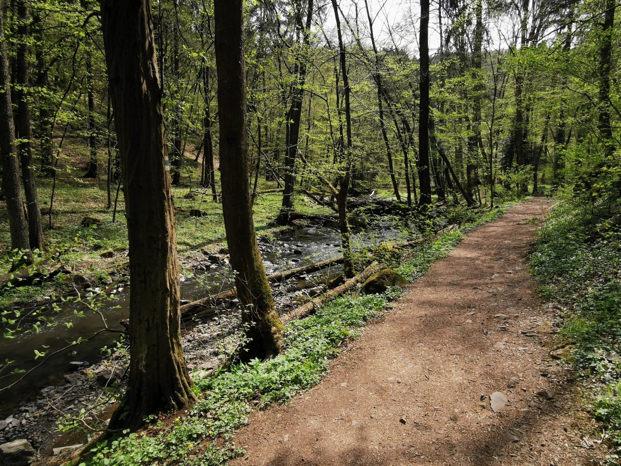 Zbiro�sk� potok u Skryjsk�ch jez�rek