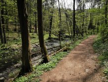 Zbirožský potok u Skryjských jezírek