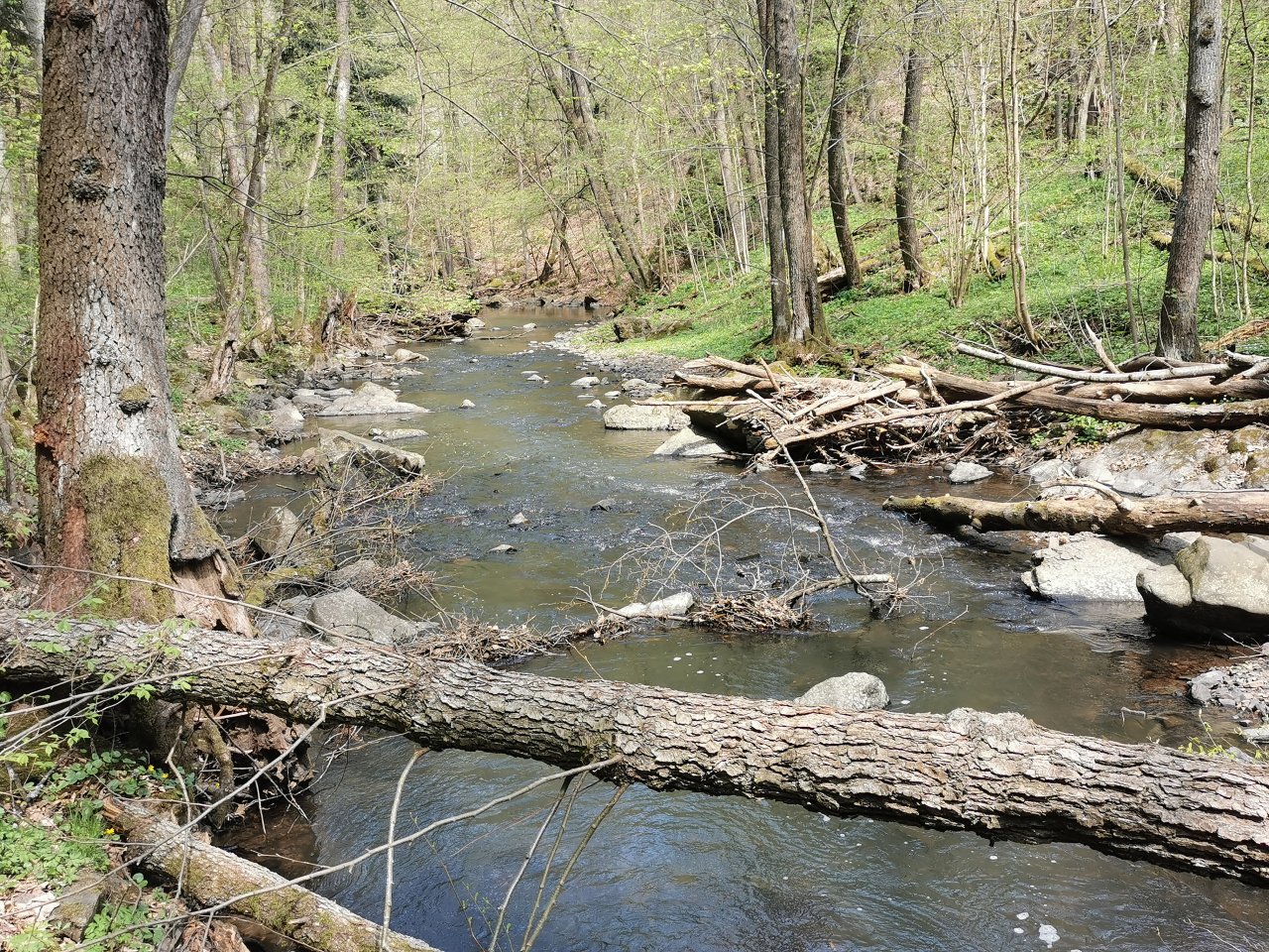 Zbiro�sk� potok u Skryjsk�ch jez�rek