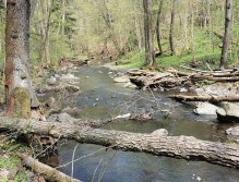 Zbirožský potok u Skryjských jezírek