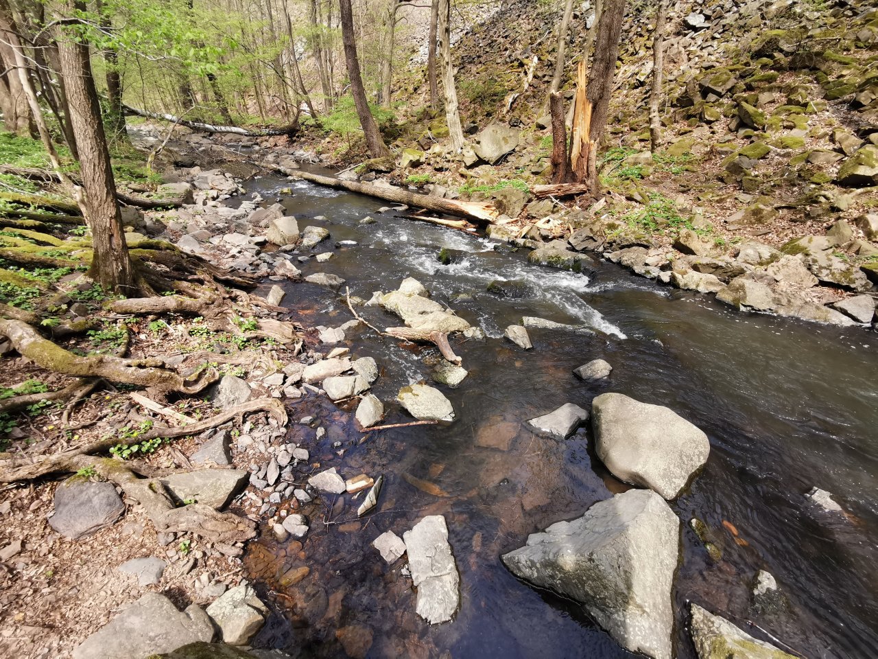 Zbiro�sk� potok u Skryjsk�ch jez�rek