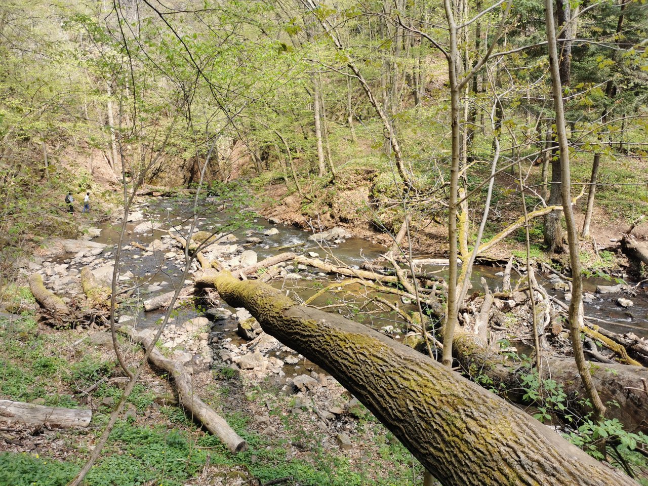 Zbiro�sk� potok u Skryjsk�ch jez�rek