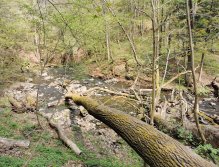 Zbirožský potok u Skryjských jezírek