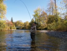 Catch from Weisser Traun