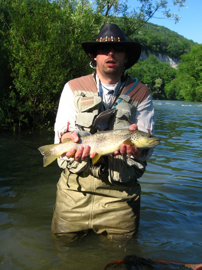 Zebra Trout from La Loue