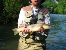 Zebra Trout from La Loue