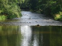 Juniorsk MS v mukaen 2009 - II