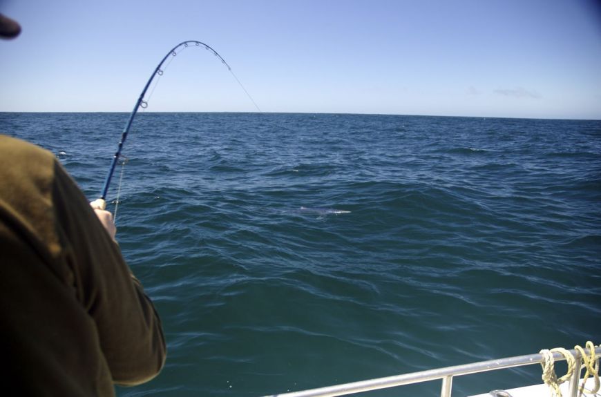 12wt connected to a Big Blue