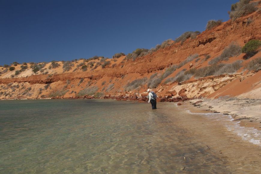 Chasing Goldies in W.A -Australia