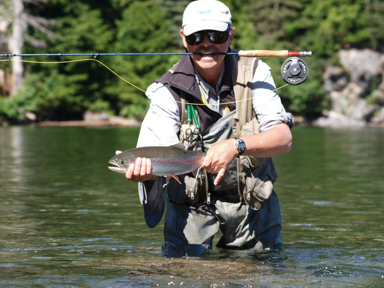 Surel Creek Rainbow (4lbs)