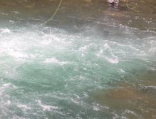 Nymphing at surel Falls