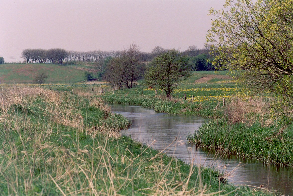 Vejen river