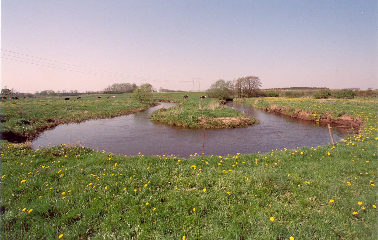 Vejen river