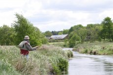 Dnsk lipanov eky - fotogalerie