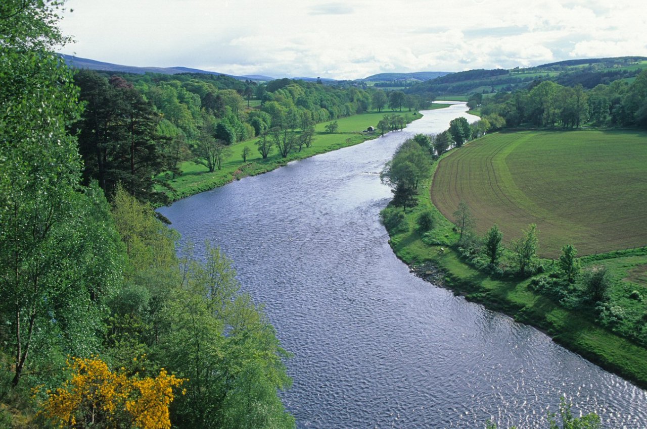 Spey River, Criagellichie