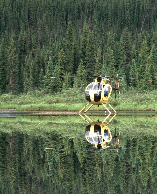 Search for new fishing grounds