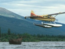 The Beaver returning picking us after a wonderful day