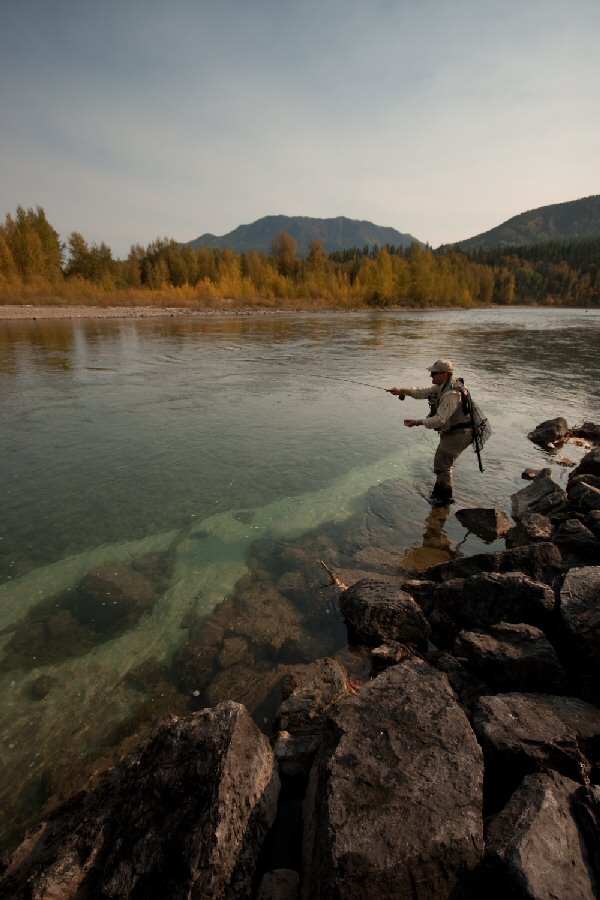 Sight casting for Whitefish