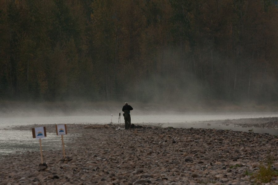 The Morning fog makes the Elk even more Beautiful