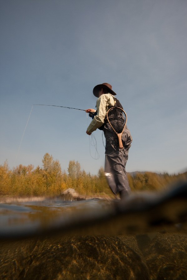 High Sticking on the Elk