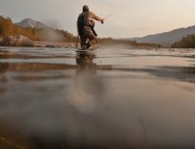 Stalking the fish