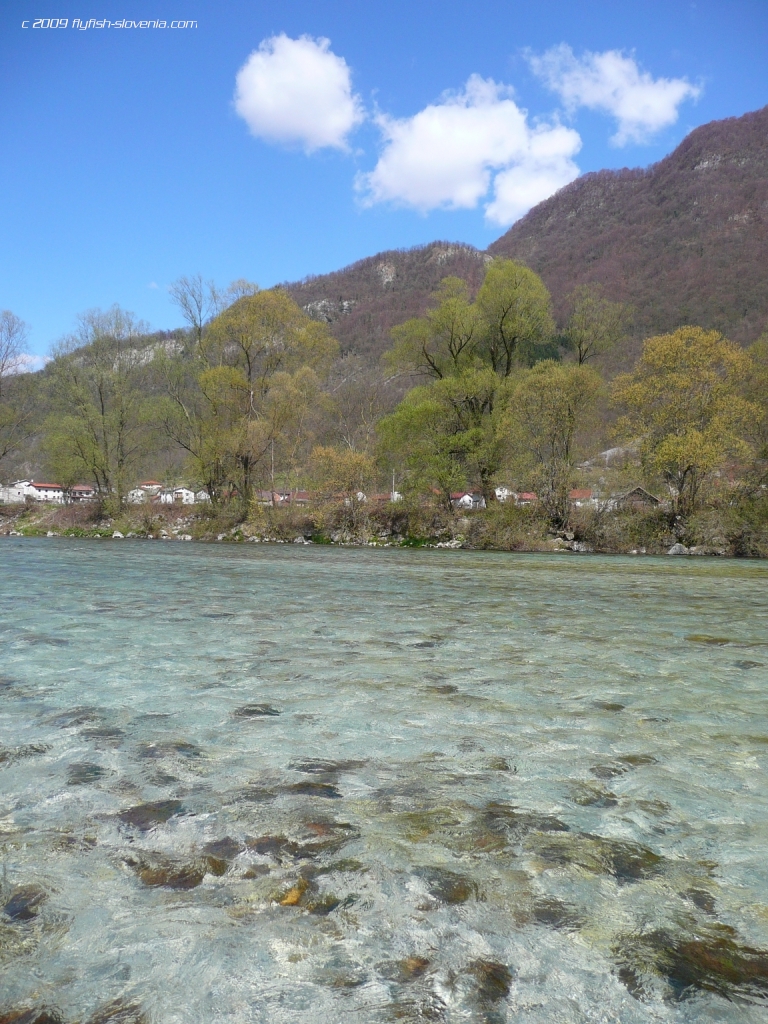 Middle part of the river above Tolmin