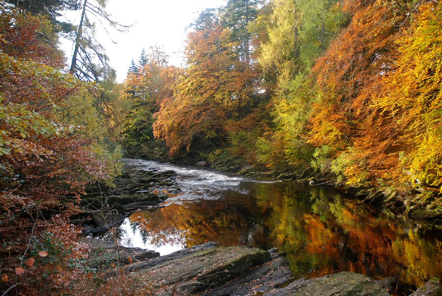 Reflections of Autumn colours in Glen Esk