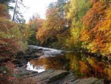 Reflections of Autumn colours in Glen Esk