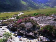 Upper tributary of River North Esk