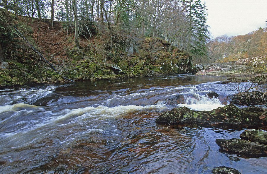 Plenty attractive glides and streams 