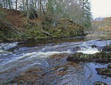 Plenty attractive glides and streams