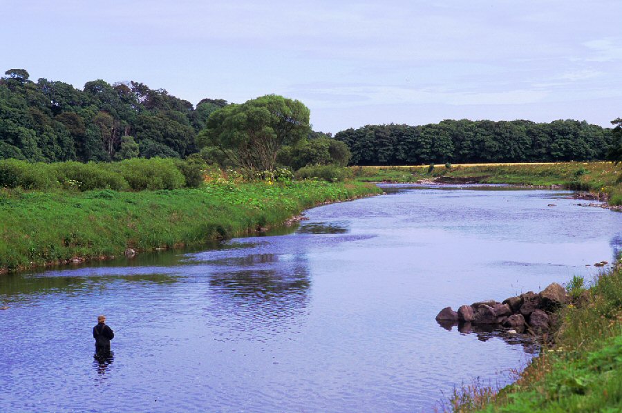 Broad,  slower pools nearer to the sea