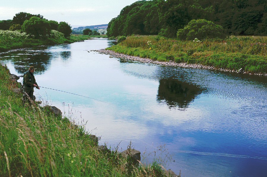 Waiting for the pull !    Lower Pondage Beat