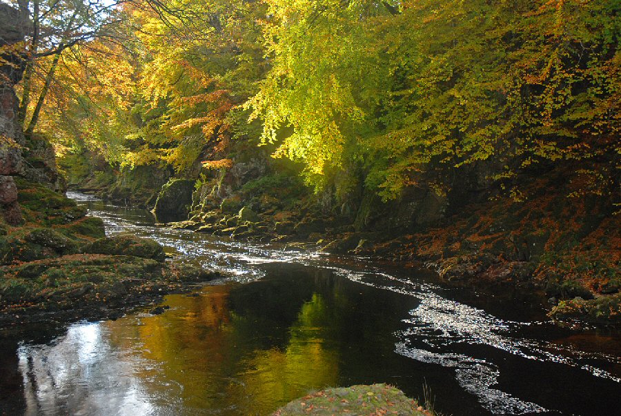 Deep foam-flecked pools hold running salmon