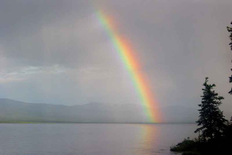 Rainbow Wolf Lake,Yukon, Canada