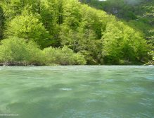 Middle part of the Idrijca river