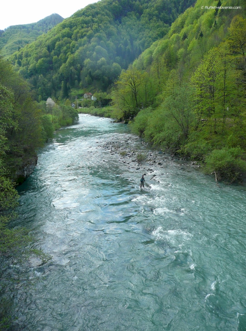 Higher waters at the Idrijca river