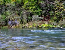 Flyfisherman at the Idrijca river