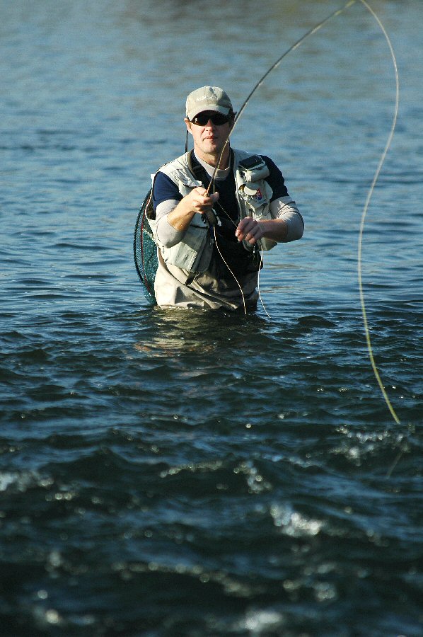 Mi�o casting micronymphs