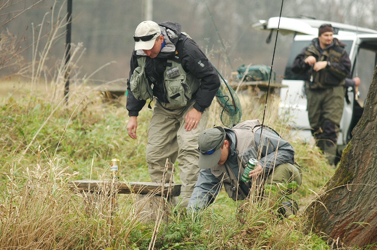 Searching for the lost fly